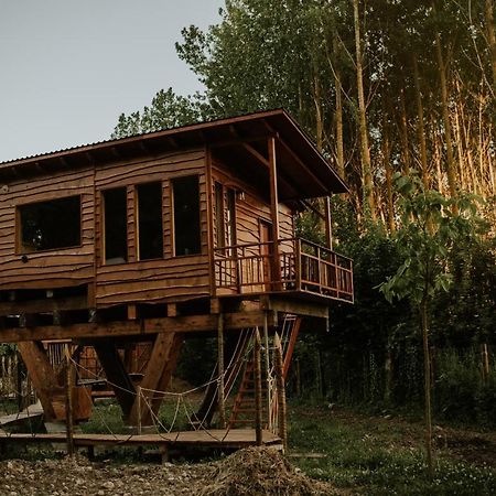 Bonita Cabana De Los Arboles En La Rioja , Durmiendo Entre Arboles Anguciana Buitenkant foto