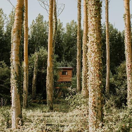 Bonita Cabana De Los Arboles En La Rioja , Durmiendo Entre Arboles Anguciana Buitenkant foto