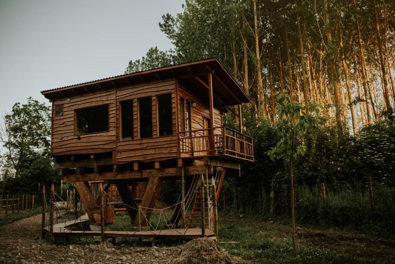 Bonita Cabana De Los Arboles En La Rioja , Durmiendo Entre Arboles Anguciana Buitenkant foto