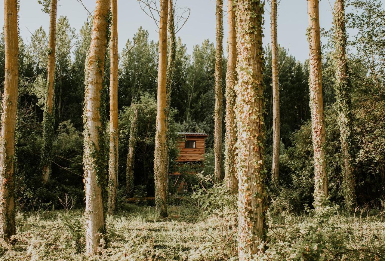 Bonita Cabana De Los Arboles En La Rioja , Durmiendo Entre Arboles Anguciana Buitenkant foto