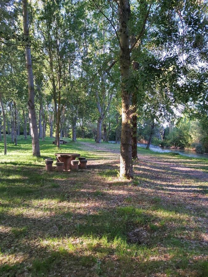 Bonita Cabana De Los Arboles En La Rioja , Durmiendo Entre Arboles Anguciana Buitenkant foto