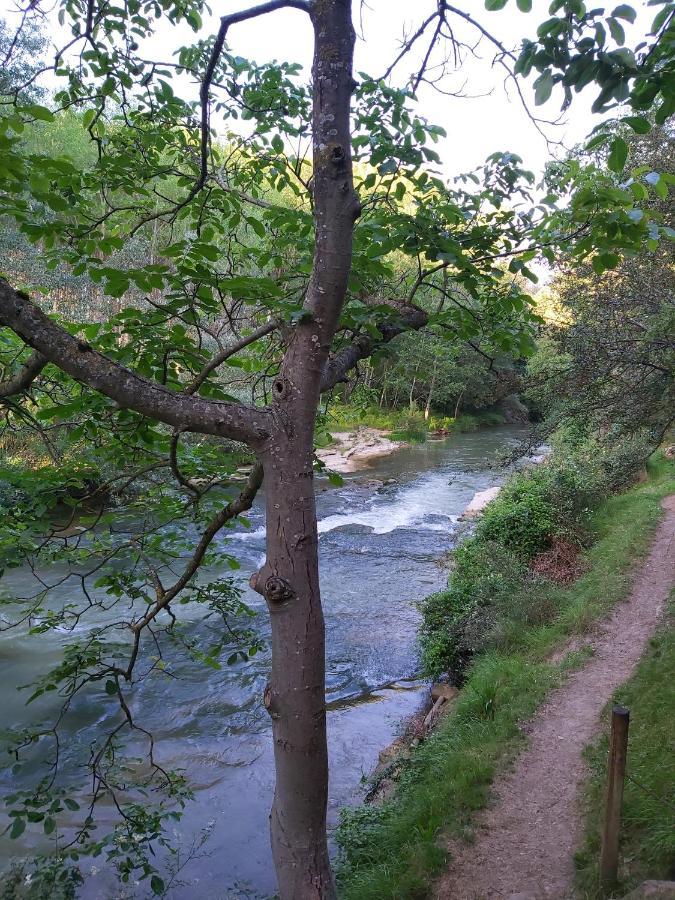 Bonita Cabana De Los Arboles En La Rioja , Durmiendo Entre Arboles Anguciana Buitenkant foto