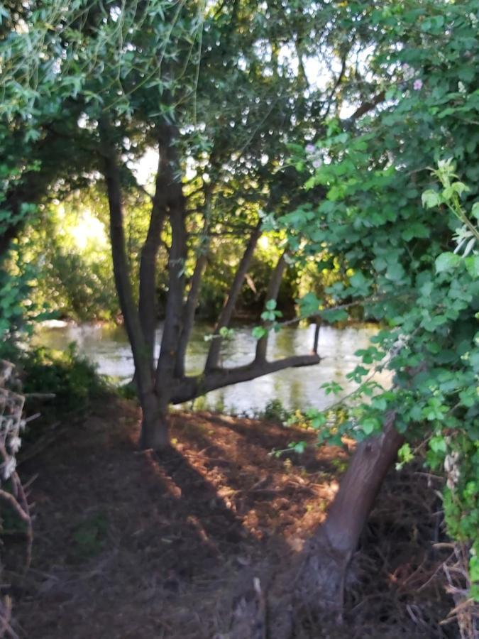 Bonita Cabana De Los Arboles En La Rioja , Durmiendo Entre Arboles Anguciana Buitenkant foto